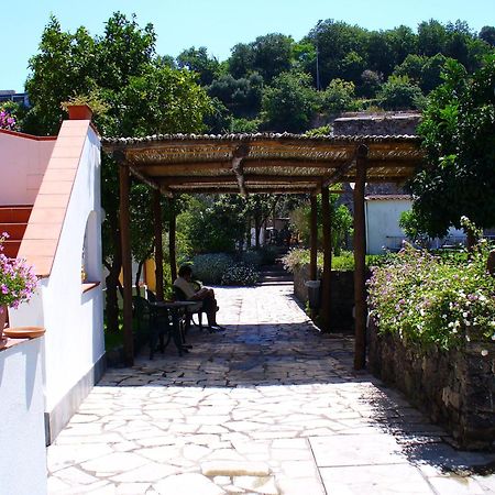 Hotel La Marticana Ischia Eksteriør billede