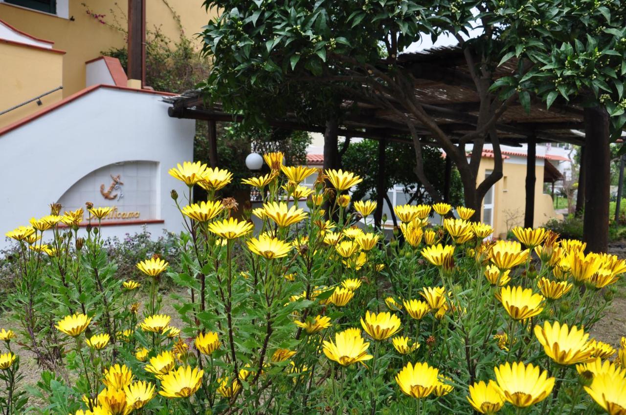 Hotel La Marticana Ischia Eksteriør billede