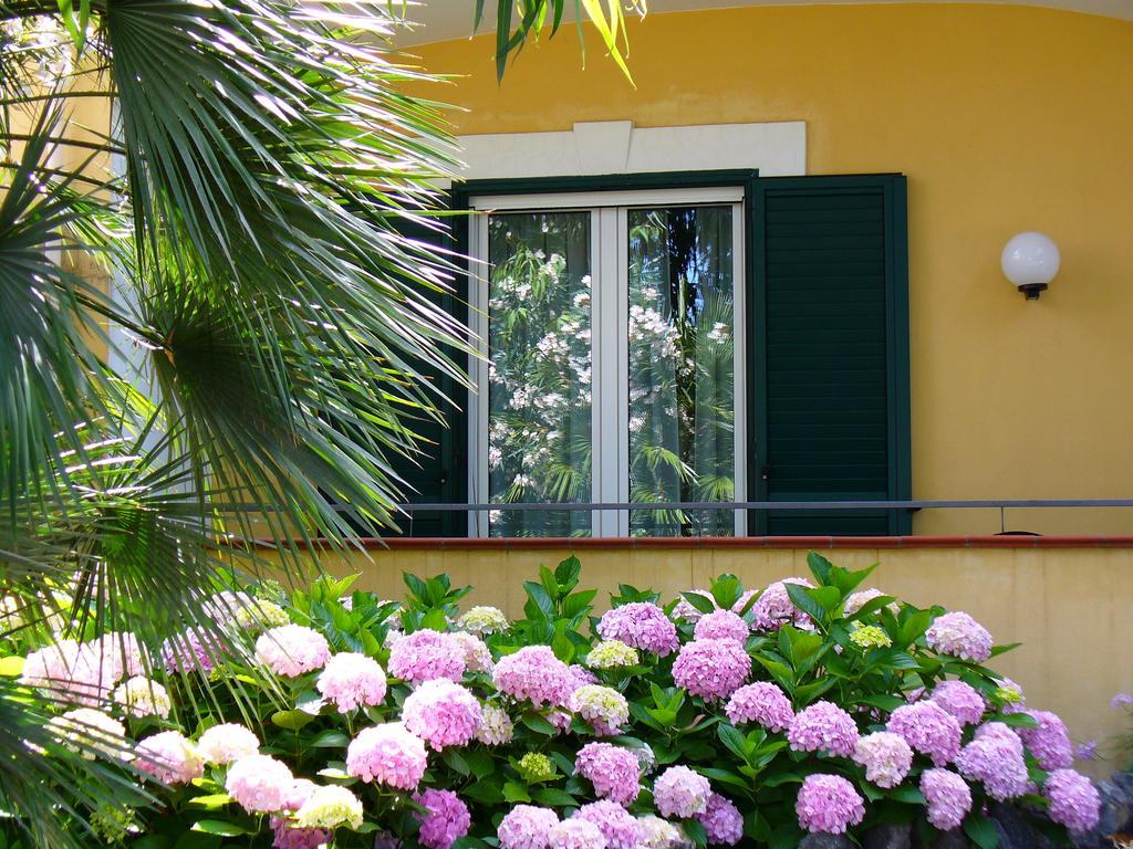 Hotel La Marticana Ischia Eksteriør billede