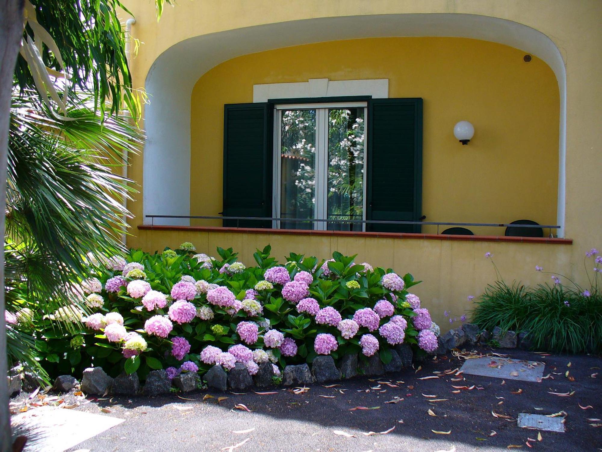 Hotel La Marticana Ischia Eksteriør billede
