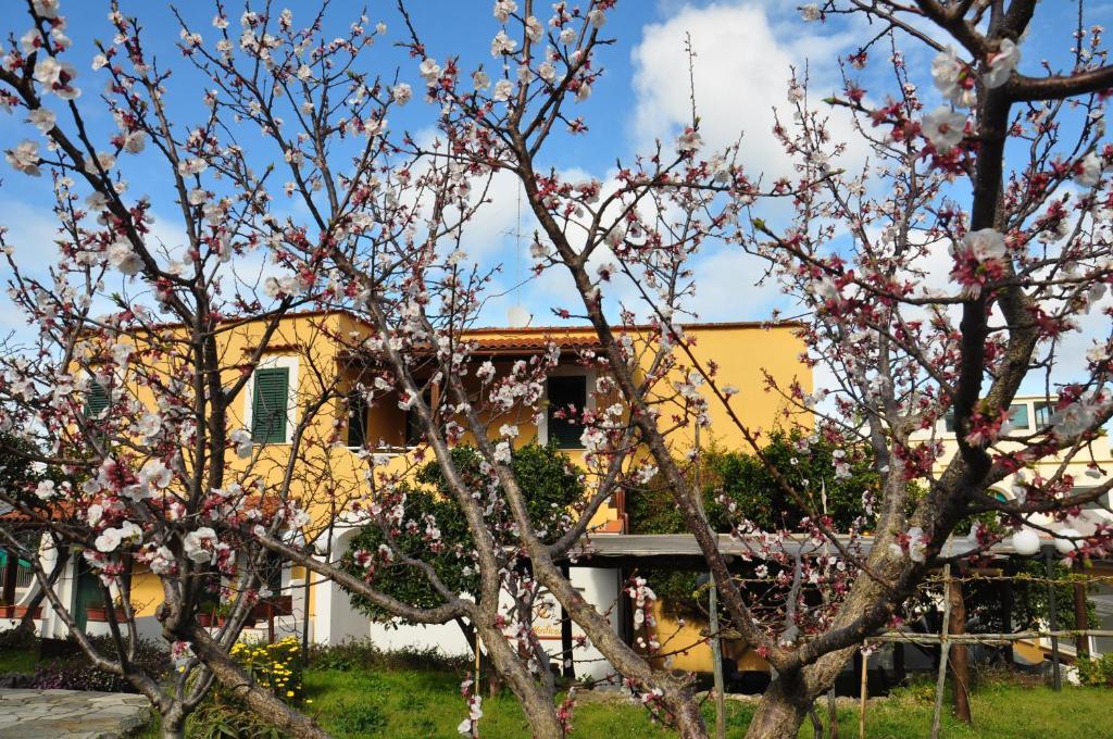Hotel La Marticana Ischia Eksteriør billede