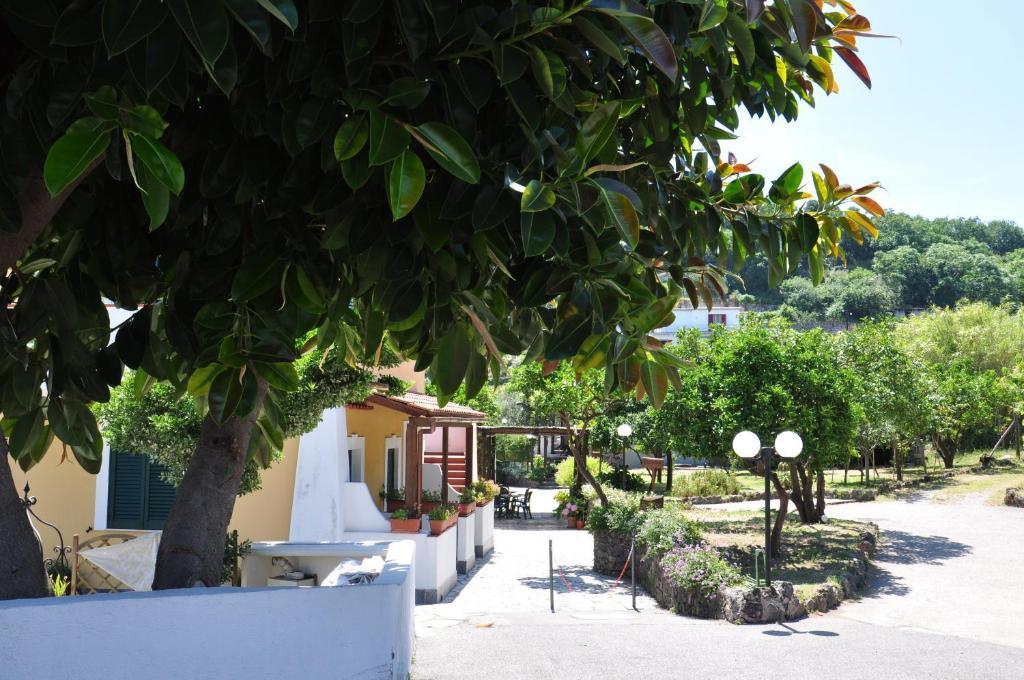 Hotel La Marticana Ischia Eksteriør billede