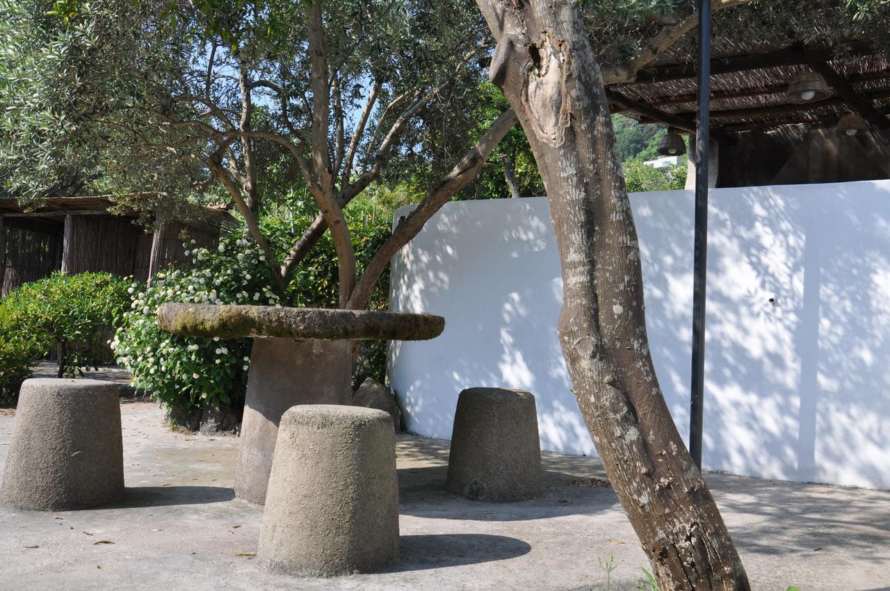 Hotel La Marticana Ischia Eksteriør billede