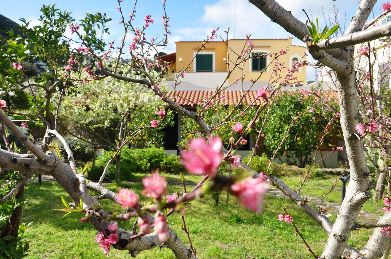 Hotel La Marticana Ischia Eksteriør billede